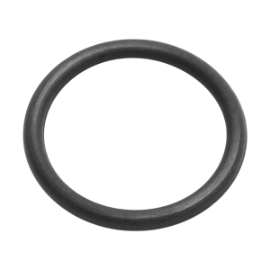 O-ring for NexION Hyper Skimmer Cone (PKT 5)